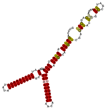 secondary structure