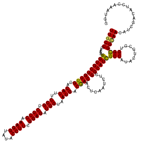 secondary structure