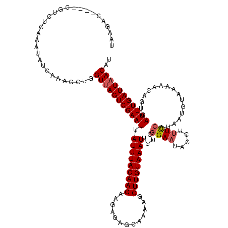 secondary structure