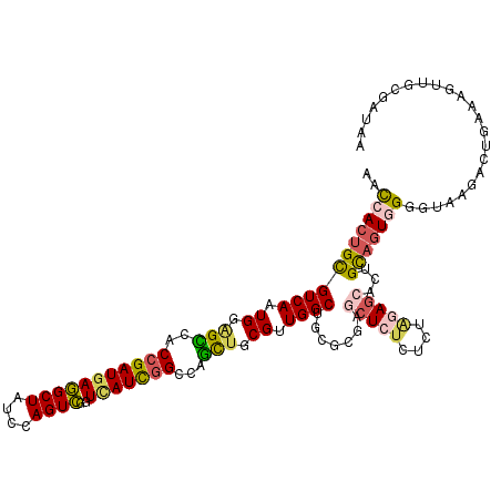 secondary structure