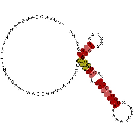 secondary structure