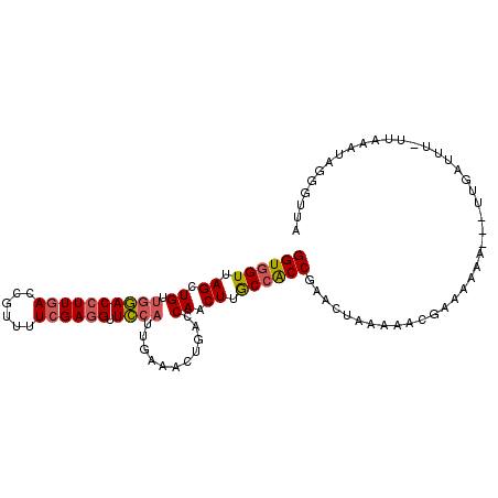 secondary structure