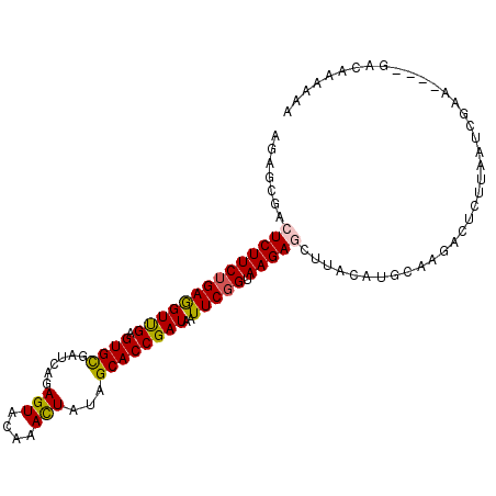 secondary structure