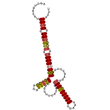 secondary structure