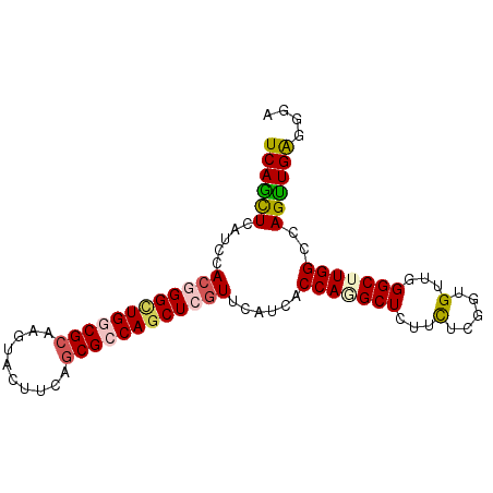 secondary structure