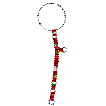 secondary structure