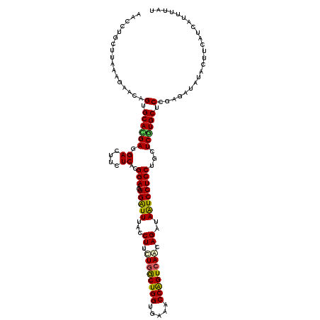 secondary structure