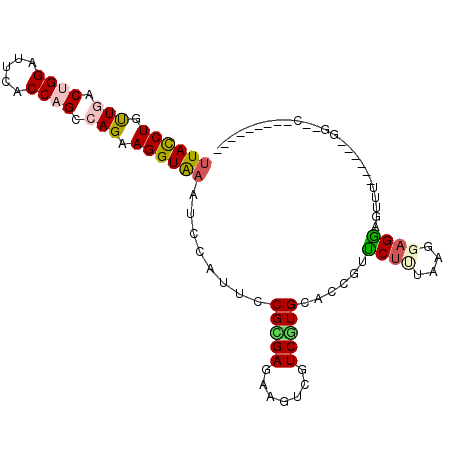 secondary structure