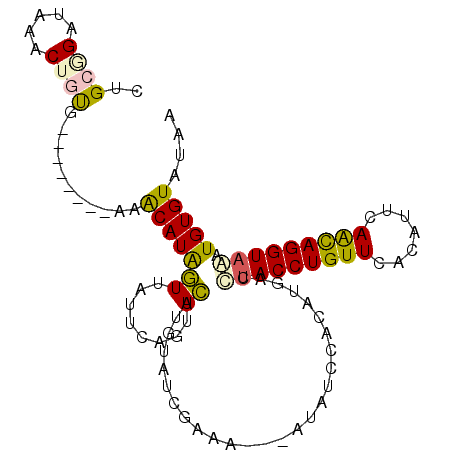 secondary structure