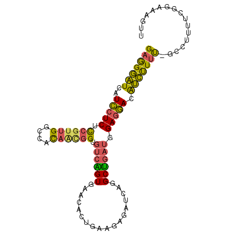 secondary structure