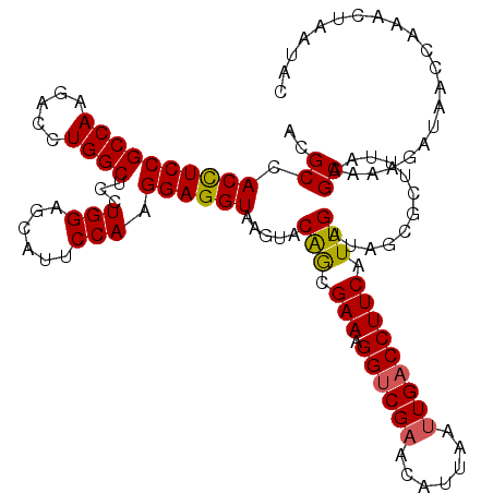 secondary structure