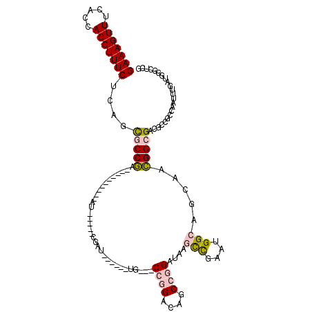 secondary structure