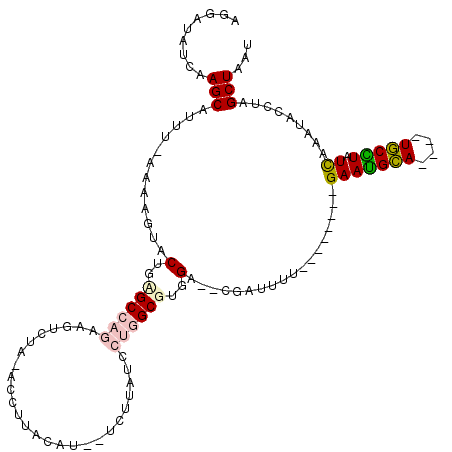 secondary structure