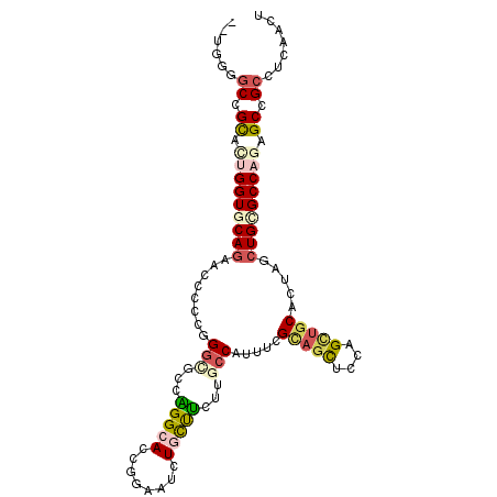 secondary structure