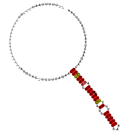secondary structure