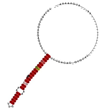 secondary structure