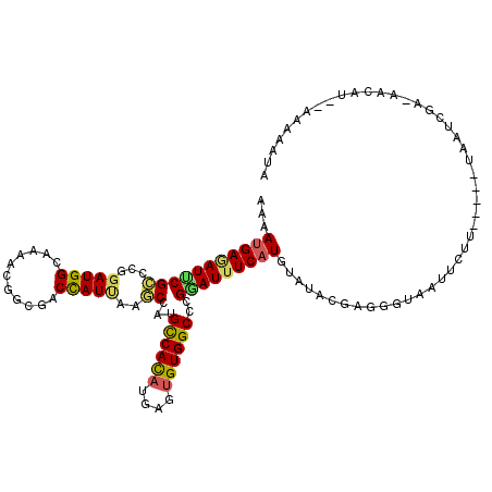 secondary structure