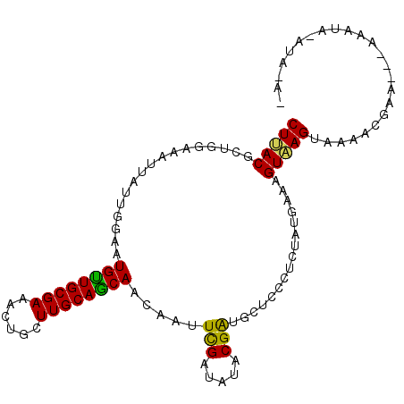 secondary structure