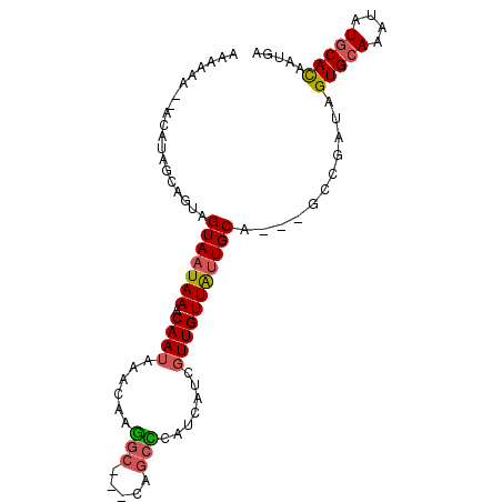 secondary structure