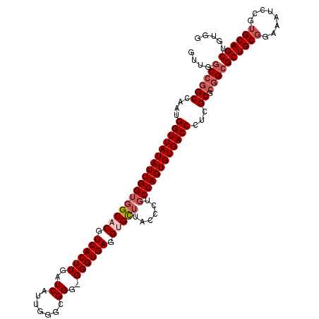 secondary structure