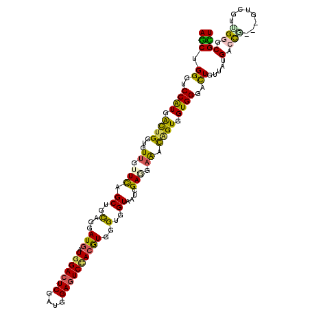 secondary structure