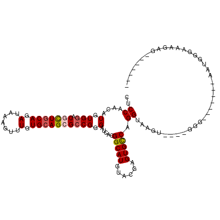 secondary structure