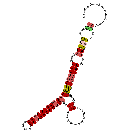 secondary structure