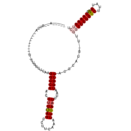 secondary structure