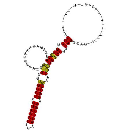 secondary structure