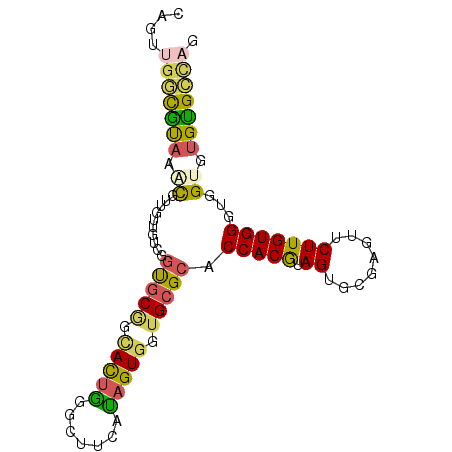 secondary structure