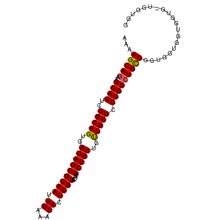 secondary structure