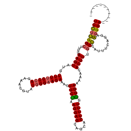 secondary structure