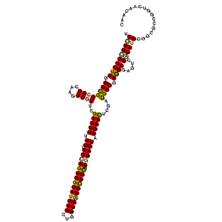 secondary structure
