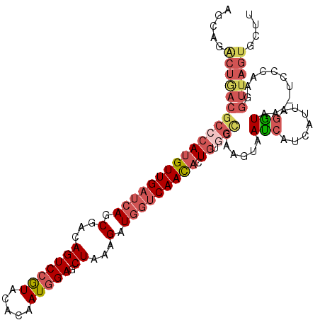 secondary structure