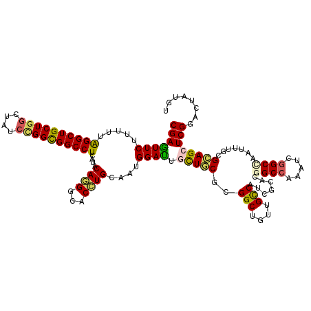 secondary structure