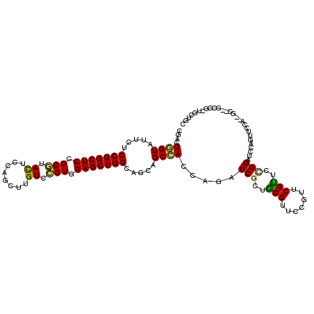 secondary structure