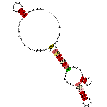 secondary structure