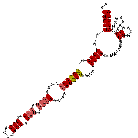 secondary structure