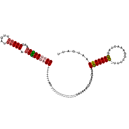 secondary structure