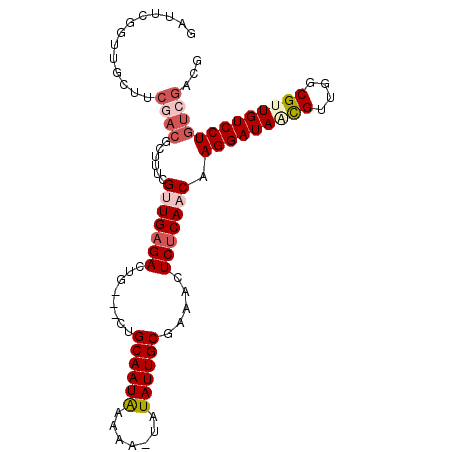 secondary structure