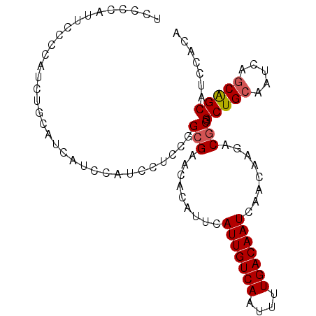 secondary structure