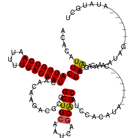 secondary structure