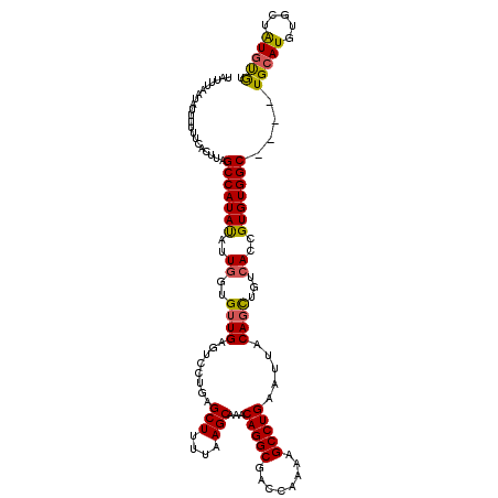secondary structure