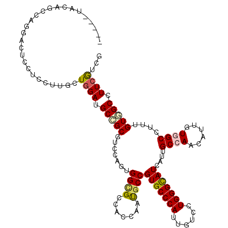 secondary structure