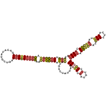 secondary structure