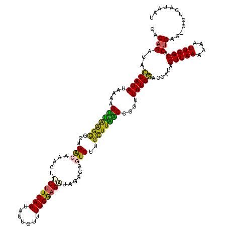 secondary structure