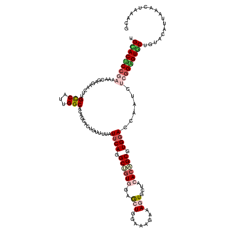 secondary structure