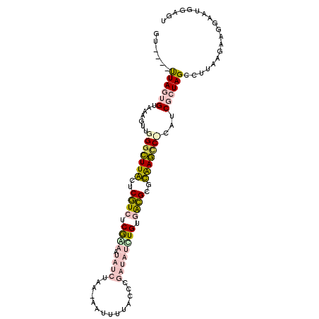 secondary structure