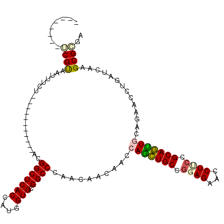 secondary structure