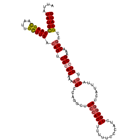 secondary structure